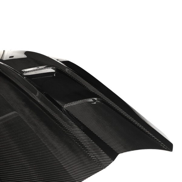 scaled.jpg Carbon Fiber Hood