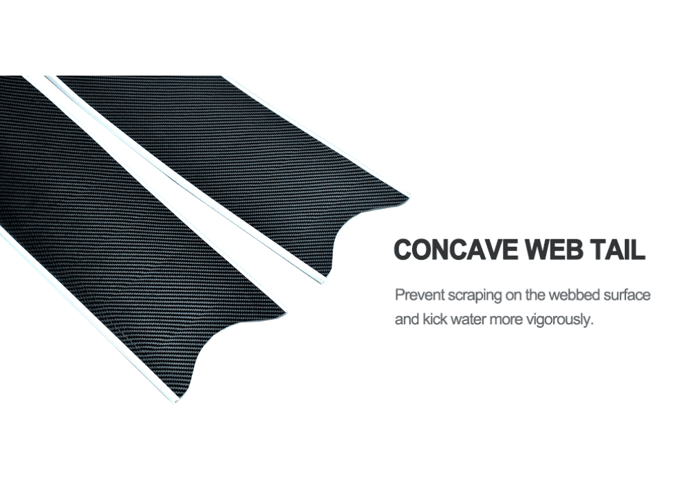 CONCAVE WEB TAIL