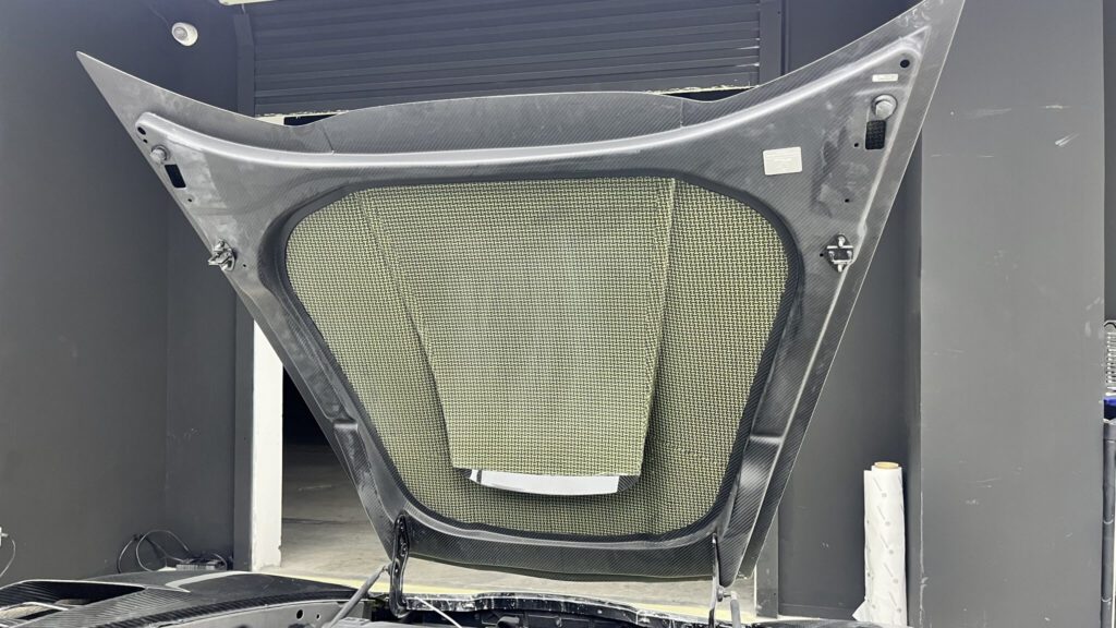 dry carbon fiber hood product